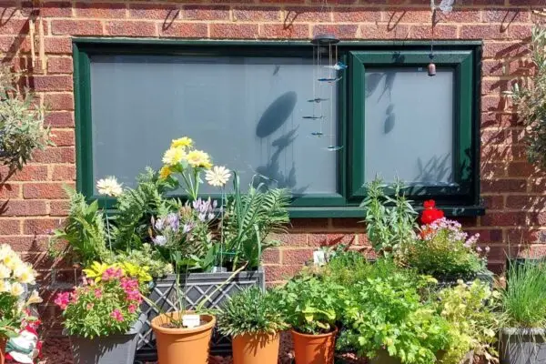 Transformation Glazing